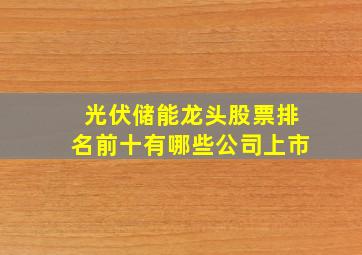 光伏储能龙头股票排名前十有哪些公司上市