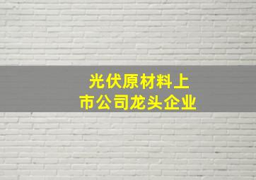 光伏原材料上市公司龙头企业