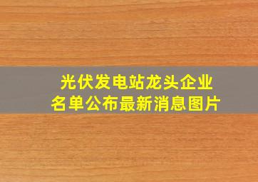 光伏发电站龙头企业名单公布最新消息图片