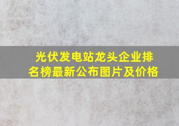 光伏发电站龙头企业排名榜最新公布图片及价格