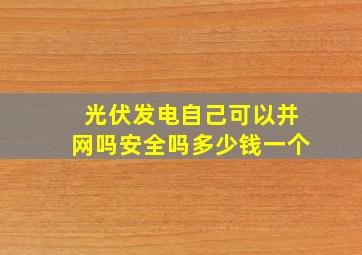 光伏发电自己可以并网吗安全吗多少钱一个