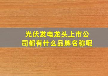 光伏发电龙头上市公司都有什么品牌名称呢