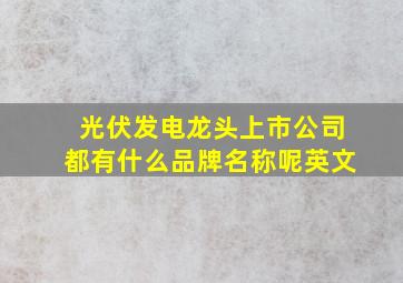 光伏发电龙头上市公司都有什么品牌名称呢英文