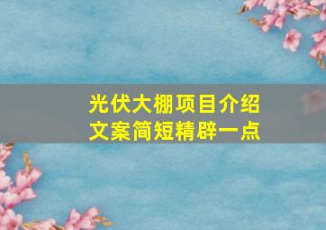 光伏大棚项目介绍文案简短精辟一点