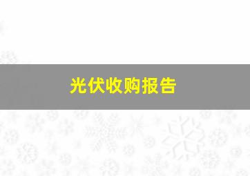 光伏收购报告