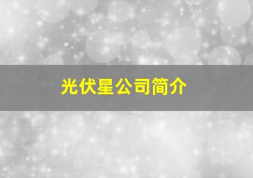 光伏星公司简介