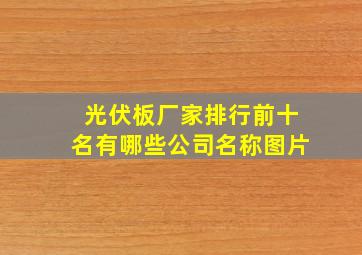 光伏板厂家排行前十名有哪些公司名称图片