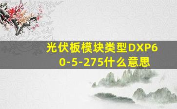 光伏板模块类型DXP60-5-275什么意思