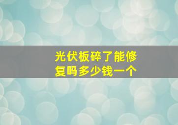 光伏板碎了能修复吗多少钱一个