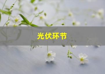 光伏环节