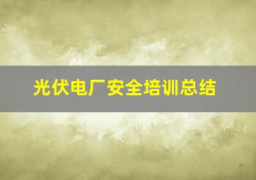 光伏电厂安全培训总结