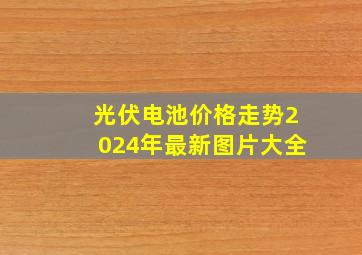 光伏电池价格走势2024年最新图片大全