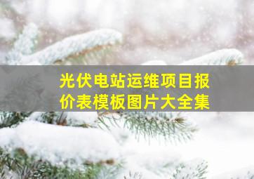 光伏电站运维项目报价表模板图片大全集