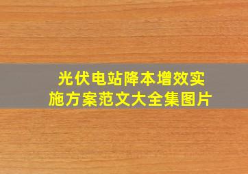 光伏电站降本增效实施方案范文大全集图片