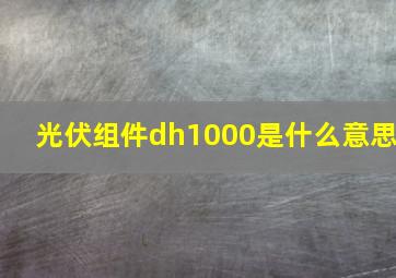 光伏组件dh1000是什么意思