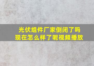 光伏组件厂家倒闭了吗现在怎么样了呢视频播放