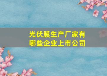 光伏膜生产厂家有哪些企业上市公司