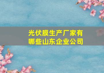 光伏膜生产厂家有哪些山东企业公司