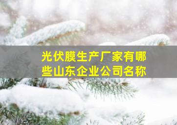 光伏膜生产厂家有哪些山东企业公司名称