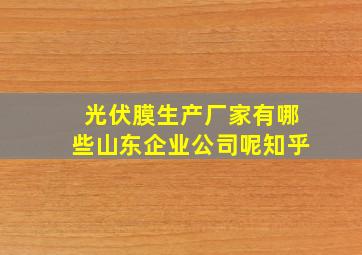 光伏膜生产厂家有哪些山东企业公司呢知乎