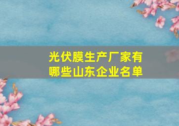 光伏膜生产厂家有哪些山东企业名单