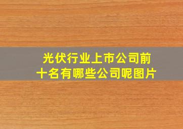 光伏行业上市公司前十名有哪些公司呢图片