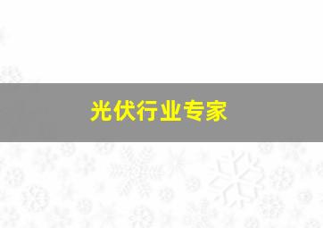 光伏行业专家