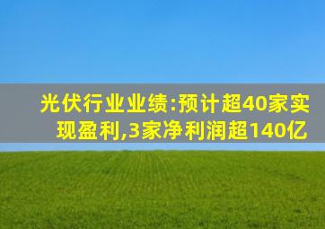 光伏行业业绩:预计超40家实现盈利,3家净利润超140亿