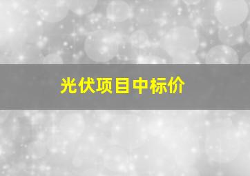 光伏项目中标价