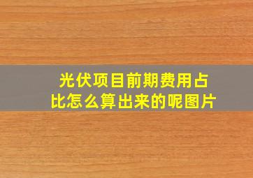 光伏项目前期费用占比怎么算出来的呢图片