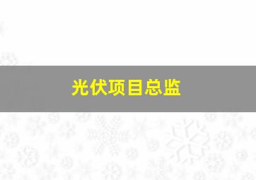 光伏项目总监