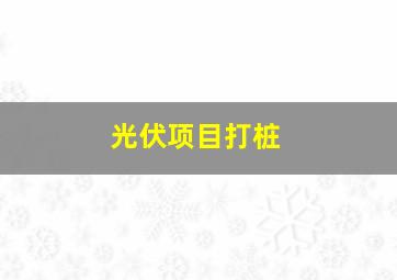 光伏项目打桩