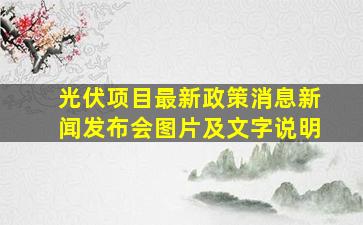 光伏项目最新政策消息新闻发布会图片及文字说明