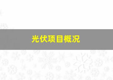 光伏项目概况