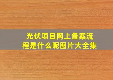 光伏项目网上备案流程是什么呢图片大全集