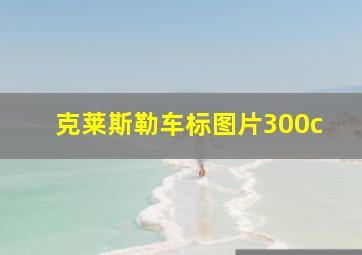 克莱斯勒车标图片300c