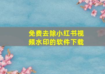 免费去除小红书视频水印的软件下载