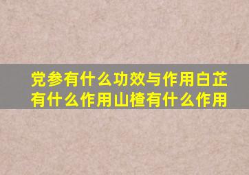 党参有什么功效与作用白芷有什么作用山楂有什么作用