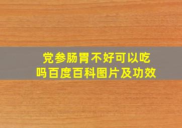 党参肠胃不好可以吃吗百度百科图片及功效