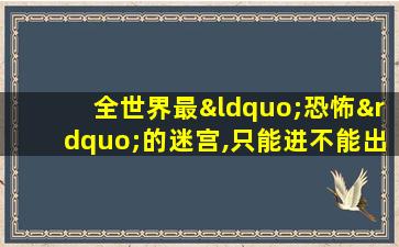 全世界最“恐怖”的迷宫,只能进不能出,无人敢挑战!