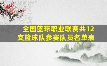 全国篮球职业联赛共12支篮球队参赛队员名单表