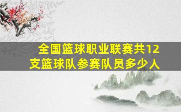 全国篮球职业联赛共12支篮球队参赛队员多少人