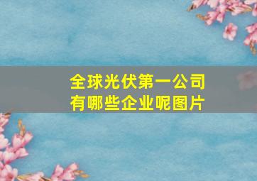 全球光伏第一公司有哪些企业呢图片