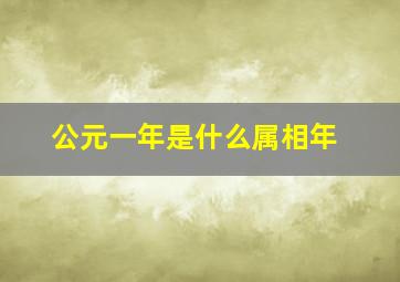 公元一年是什么属相年