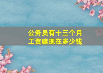 公务员有十三个月工资嘛现在多少钱