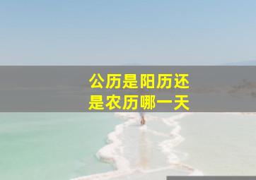 公历是阳历还是农历哪一天