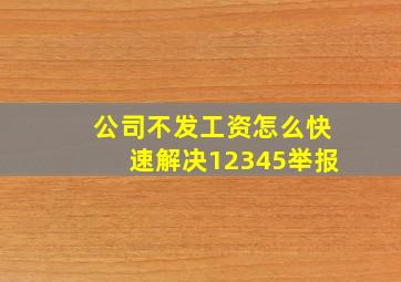 公司不发工资怎么快速解决12345举报