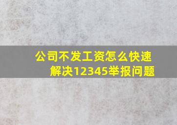 公司不发工资怎么快速解决12345举报问题