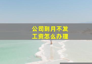 公司到月不发工资怎么办理