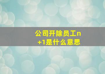 公司开除员工n+1是什么意思